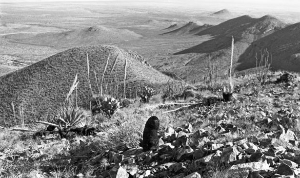 The view from atop Browns Peak in 1968. The scorched earth allegedly caused by the UFOs can be seen in the foreground. (Credit: Arizona Daily Star/Tucson Citizen/Dan Tortorell)