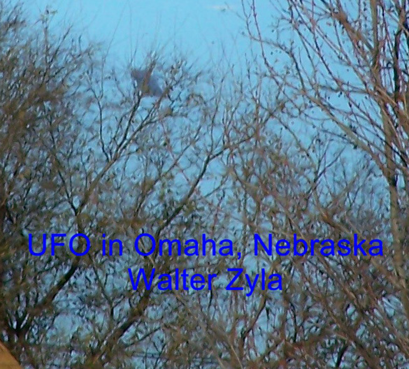 Close-up of the second image with the object behind the trees. (Credit: MUFON/Walter Zyla)